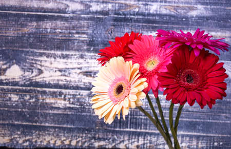 bouquet of gerbera (red, yellow, pink, beige) flowers on retro wooden backgroundの写真素材