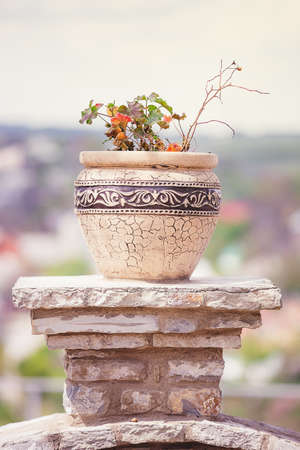 ancient Greek vase with flowersの写真素材