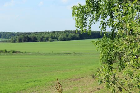Hilly landscape in a countryside in the late springの写真素材