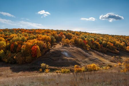 Autumn warm sunny day, hills and golden forestの写真素材