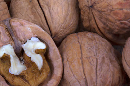 macro view of walnut background texture color