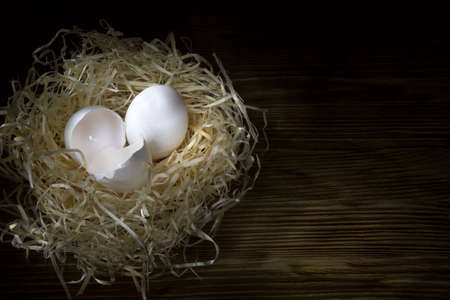 two eggs in the nest on a dark wooden background