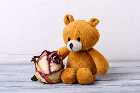 sad teddy bear and pink dried rose bud on wooden floor near white wall