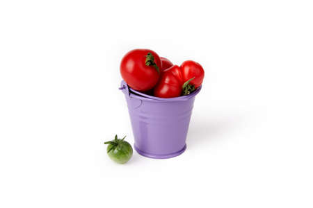 Ripe red tomatoes in a purple bucket. Harvested. A small green tomato fell out of the bucket. A full bucket of tomatoesの写真素材