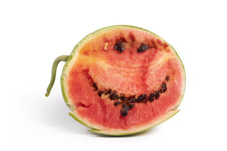Ripe watermelon cut in half with dark seeds and green tail. Smiling watermelon. Autumn harvest.の写真素材
