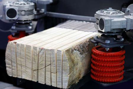 Sawing boards from logs with multi rip saw machine. Selective focus.
