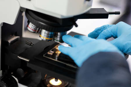Preparation of a sample for observation with optical microscope. Selective focus.