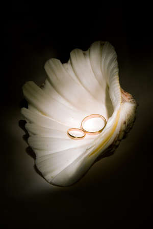 wedding rings in in sea cockleshell on black backgroundの写真素材