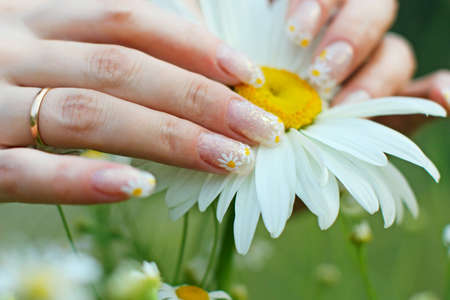 Beautiful nail design. Woman hands with camomile flowerの写真素材
