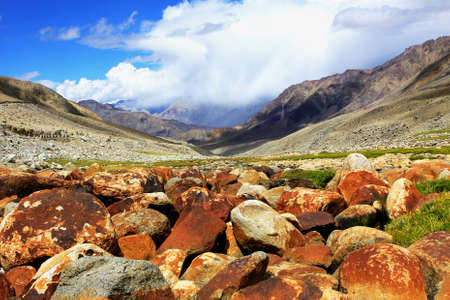 Valley with rock, stones, moss in Himalayas. Ladakh. Indiaの写真素材