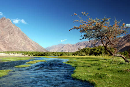 Landscape with river and green valley in Himalayas. Nubra valley. Indiaの写真素材
