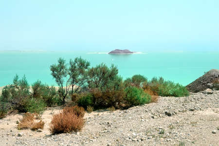 Coast of the Dead Sea  Israel