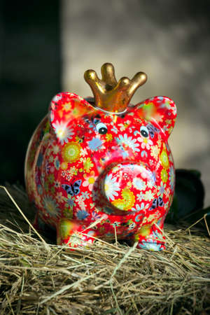 Colorful ceramic  money piggy bank standing on strawの写真素材