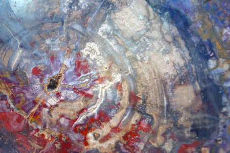 Petrified polished wood of triassic period. Background