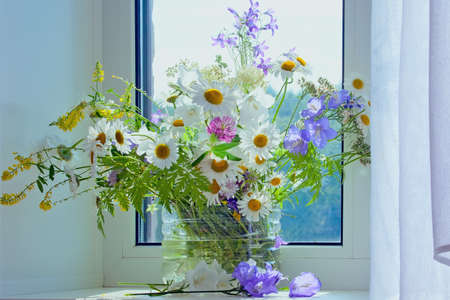 Bouquet of summer wildflowers in sunlight  near a windowの写真素材
