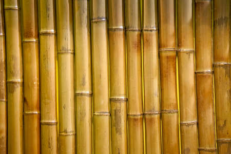 Bamboo fence background. Wooden textureの写真素材