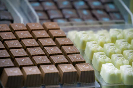 Handmade chocolates of various forms from white and dark chocolateの写真素材