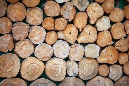 Tree stumps background, abstract of wood logs texture.