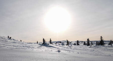 Winter Sunsetの写真素材