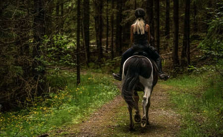 Horseback in Norwayの写真素材