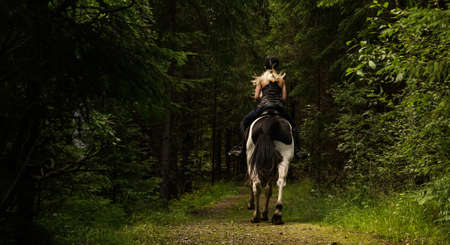 Horseback in Norwayの写真素材