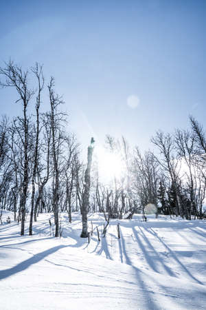 Winter in the East of Norwayの写真素材