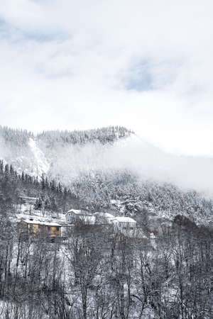 Winter in the East of Norwayの写真素材