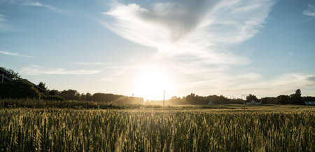 Sunset on a field in Vestfoldの写真素材