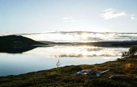 Norwegian Highlandの写真素材