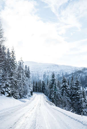 Roads in the south of Norwayの写真素材