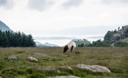 The West side of Norwayの写真素材