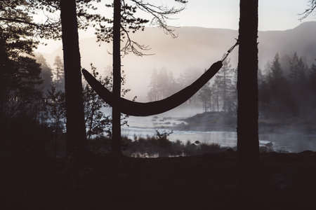 The hammock in the deep forest