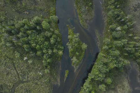 The Vassfaret forest seen from drone in Norway