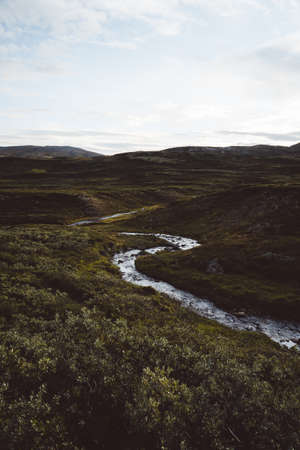 The Dovrefjell mountain area in Norwayの写真素材
