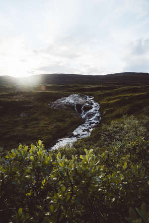 The Dovrefjell mountain area in Norwayの写真素材