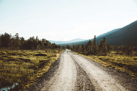 Remote road in the Valley in South Norwayの写真素材