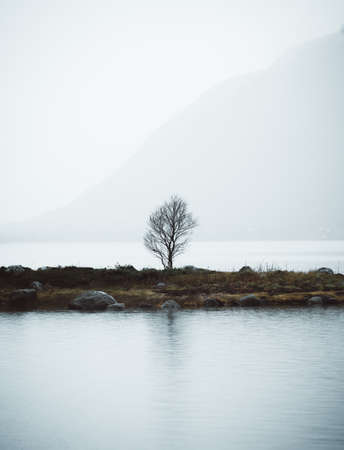 Nature at The Andoya Island in North Norwayの写真素材