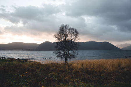 Nature at The Andoya Island in North Norwayの写真素材