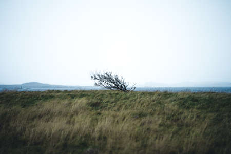 Nature at The Andoya Island in North Norwayの写真素材
