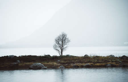 Nature at The Andoya Island in North Norwayの写真素材