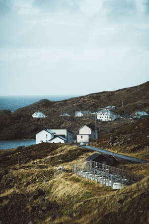 Nature at The Andoya Island in North Norwayの写真素材