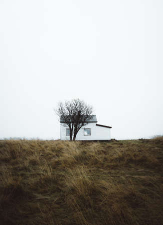 Nature at The Andoya Island in North Norwayの写真素材