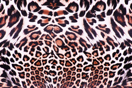 Leopard skin