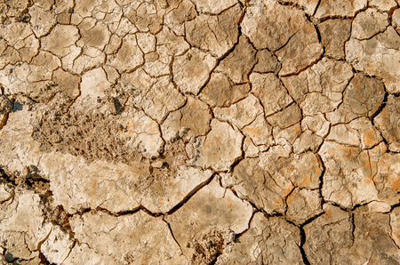 Dry and cracked earth の写真素材