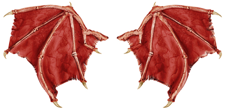 Dragon wingsの写真素材