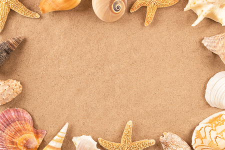 Seashells on sand. Sea summer vacation background with space for the text.