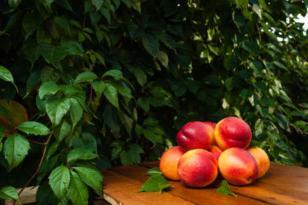 Few peaches and water drops on a wooden table and fallen autumn leavesの写真素材