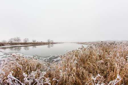 Autumn frosty morning by the river with fogの写真素材
