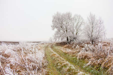 The road along the river frosty autumn morningの写真素材