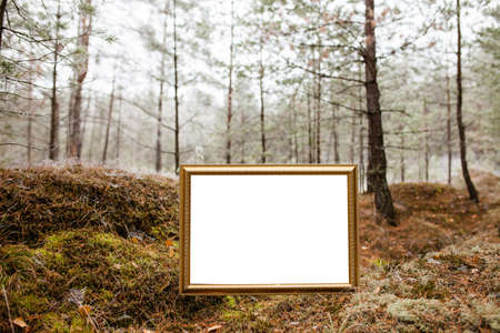 White billboard in the autumn forestの写真素材